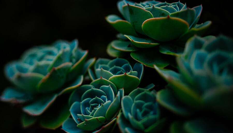 8 Scared Shapes You Need To Know To Deepen Your Understanding Of The World Around You