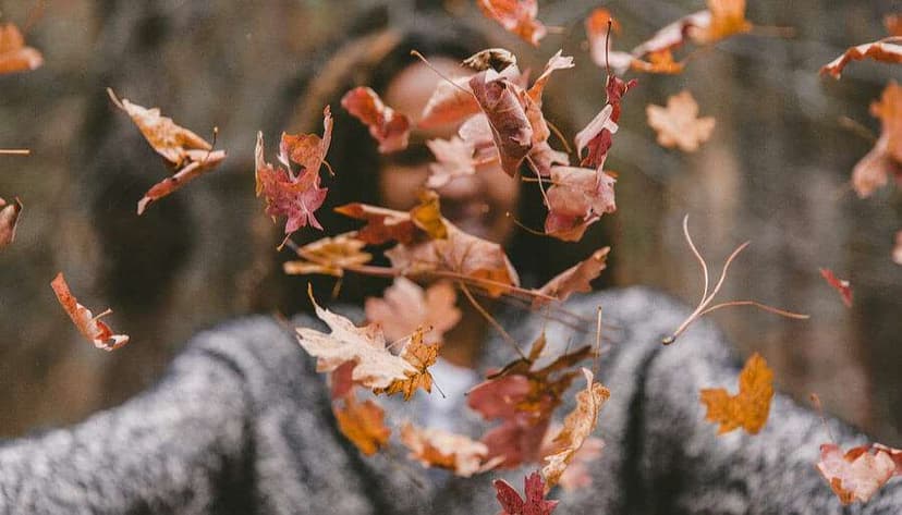 Take This Quiz & We’ll Show You Your Thanksgiving Superpower