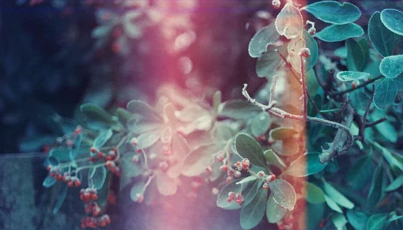 5 Christmassy Things You Do That Prove You’ve Been A Low-Key Pagan This Whole Time!