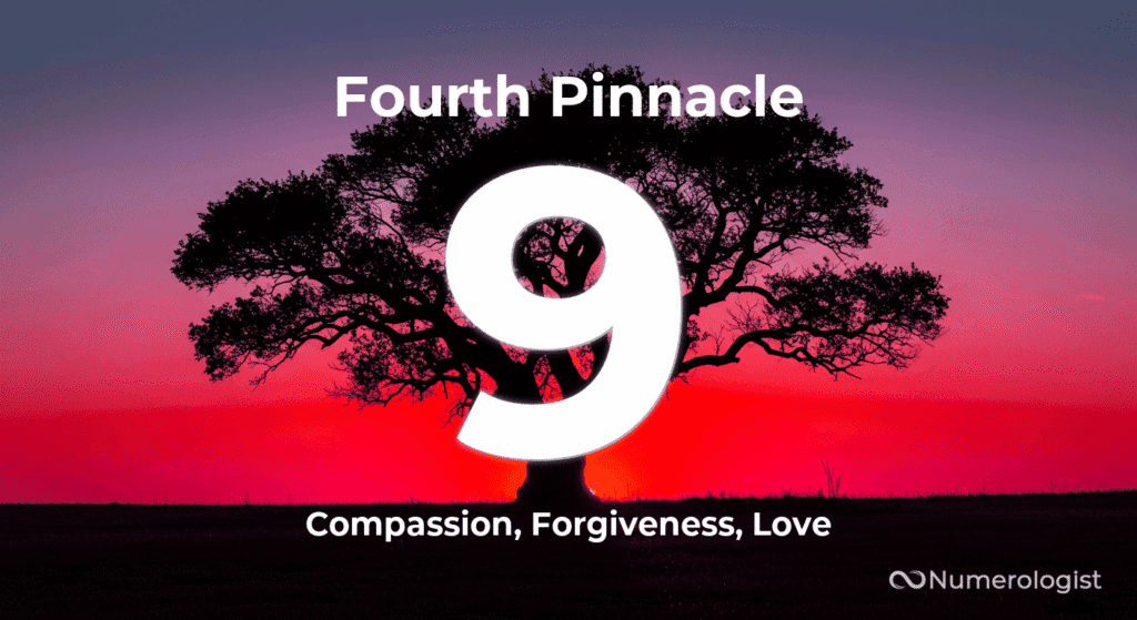 Fourth Pinnacle Number 9
