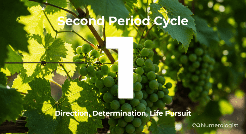 Second Period Cycle 1