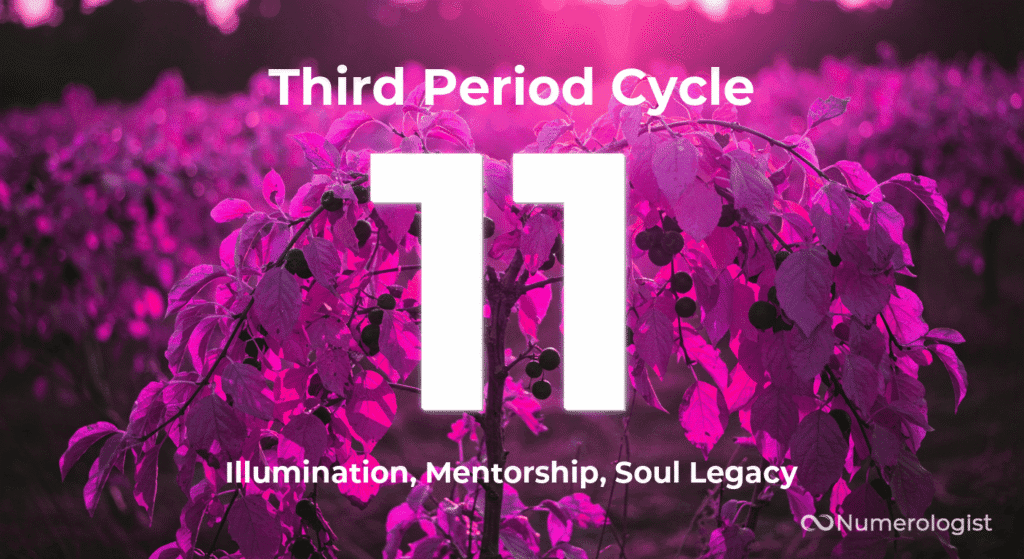 Third Period Cycle 11