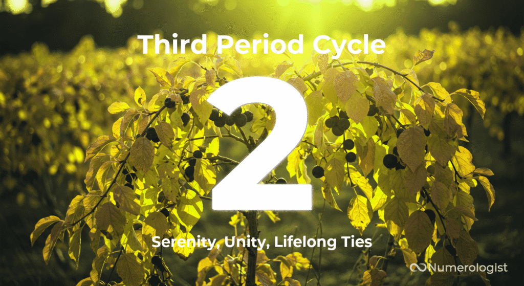 Third Period Cycle 2