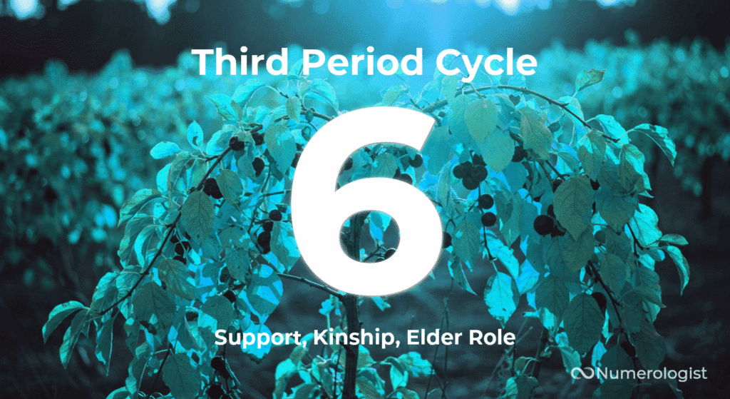 Third Period Cycle 6