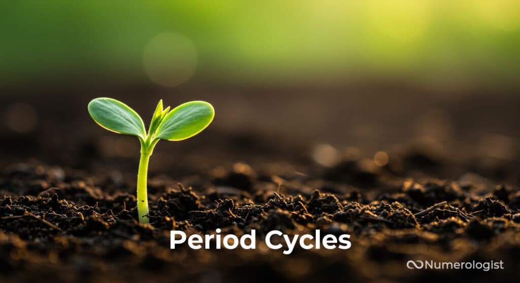 Life Period Cycles Calculator