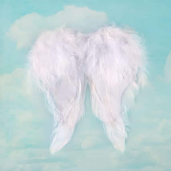 White angel wings on textured sky background