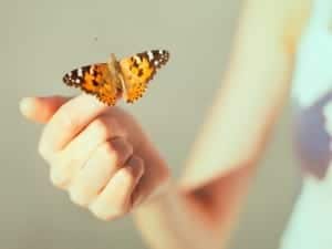 butterfly meanings