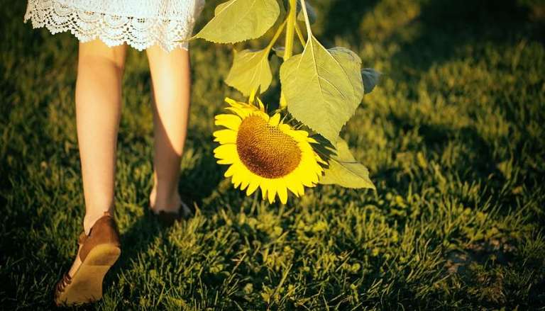 Lughnasadh Girl Holding Sunflower