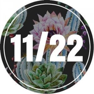 11-22-numerology
