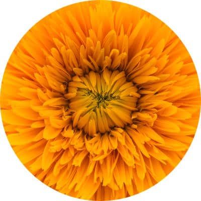 How to use the color yellow to heal shame and unworthiness