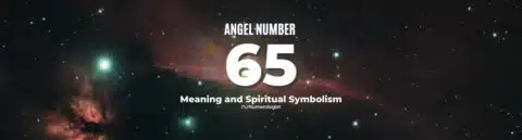 Angel Number 65 – What Does It Mean?