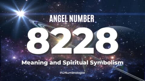 August 19th - 25th, 2024: Angel Number 8228